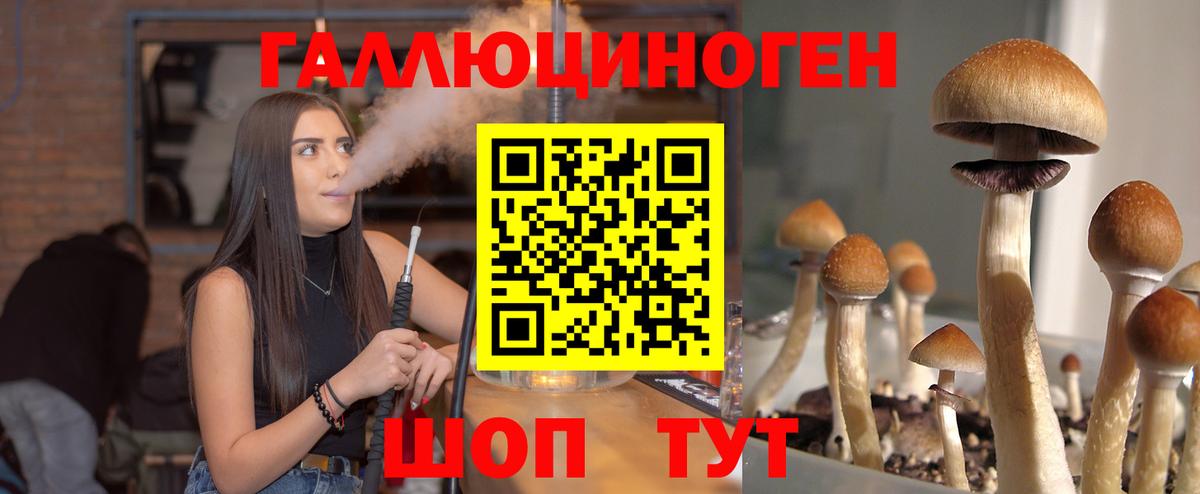 Асино  Псилоцибиновые грибы мицелий  Вход с VPN 